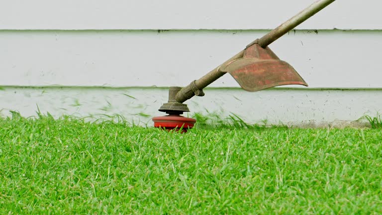 Best Lawn Disease Treatment  in Seminole, FL